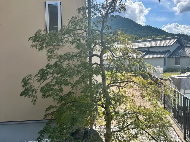 【1月出店記念】経験18年以上！年間120件の実績で美しい庭づくりをサポートサービスの画像