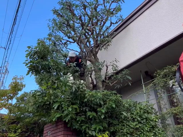 【1月出店記念】経験18年以上！年間120件の実績で美しい庭づくりをサポートサービスの画像