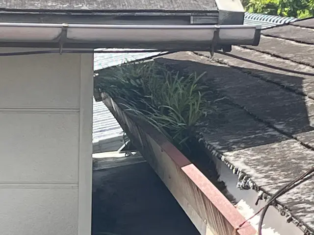 【雨の日ボタボタうるさく無いですか？】お家が痛む前に早めの対策を！サービスの画像