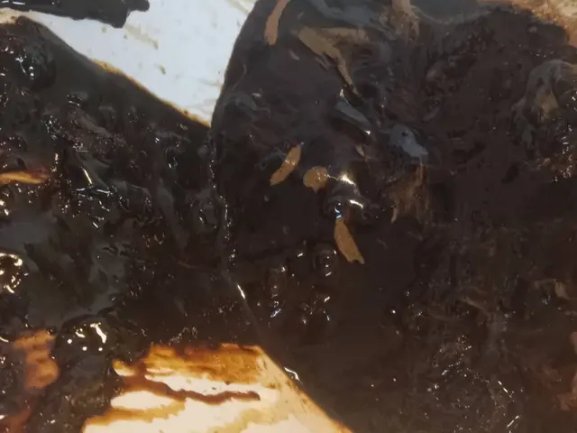 「11月出店」経験豊富！安心してお任せください！水回りクリーニング5点セットサービスの画像