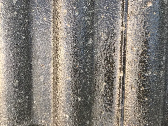 【損保加入済み◎】西湘発。経験年数20年以上のベテランスタッフがお伺いします♪サービスの画像