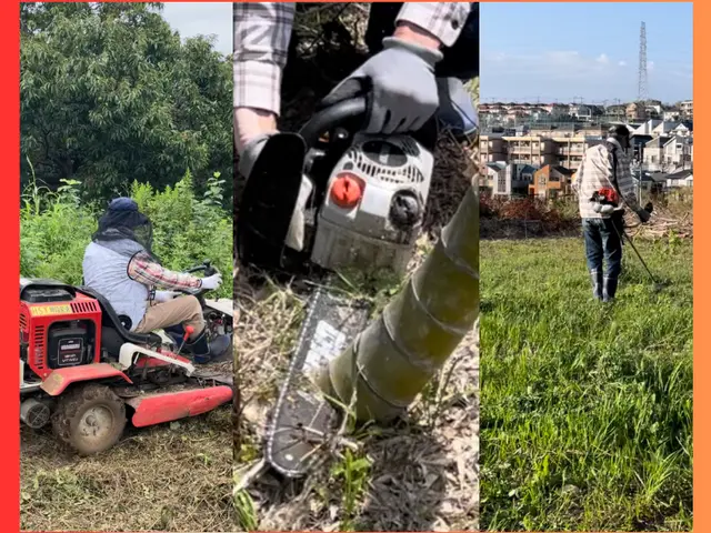 100㎡（約30坪）まで29800円でご自宅、放棄地や空地等を格安除草！サービスの画像