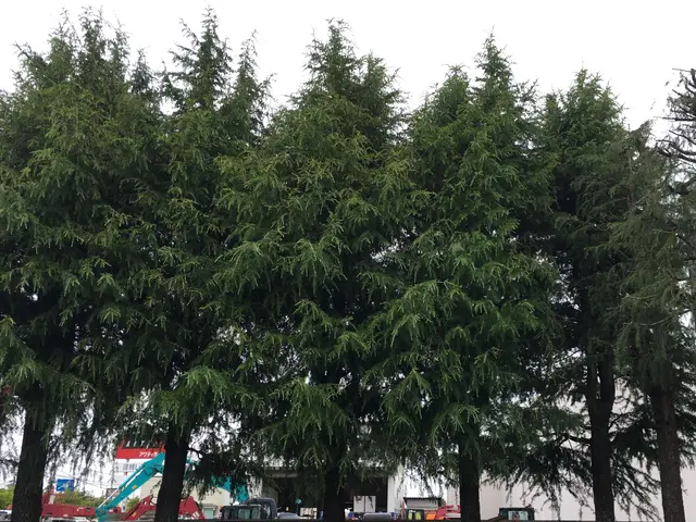 《あなたの暮らしの御用聞き》女性スタッフ在籍◇損害保険加入◇美しく仕上げます！サービスの画像