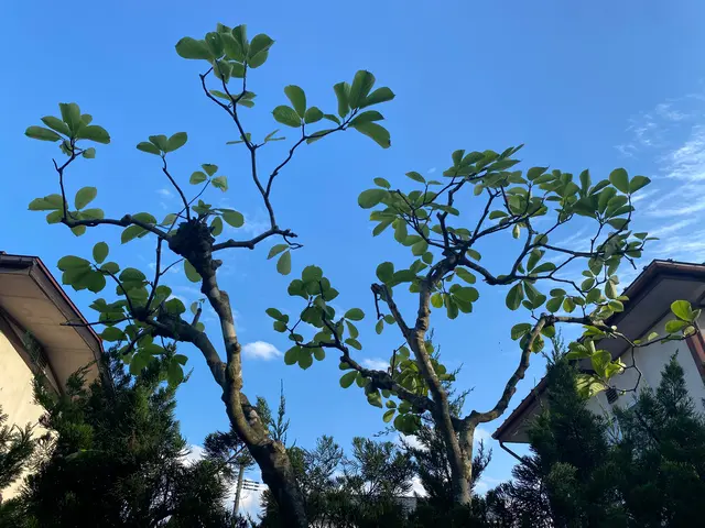 《あなたの暮らしの御用聞き》女性スタッフ在籍◇損害保険加入◇美しく仕上げます！サービスの画像