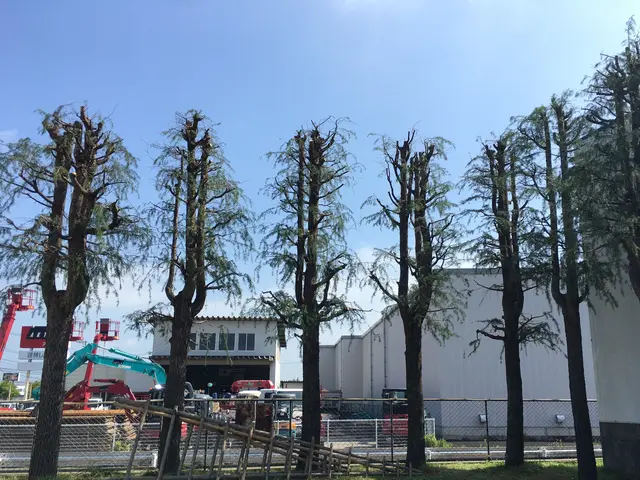 《あなたの暮らしの御用聞き》女性スタッフ在籍◇損害保険加入◇美しく仕上げます！サービスの画像