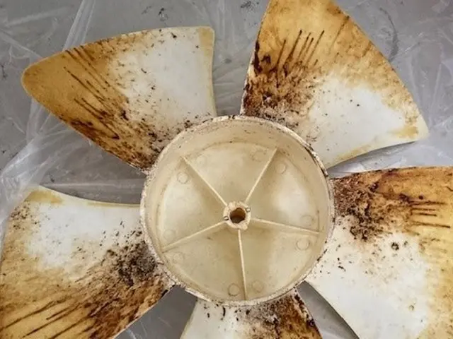 見えない頑固な油汚れも徹底洗浄！サービスの画像