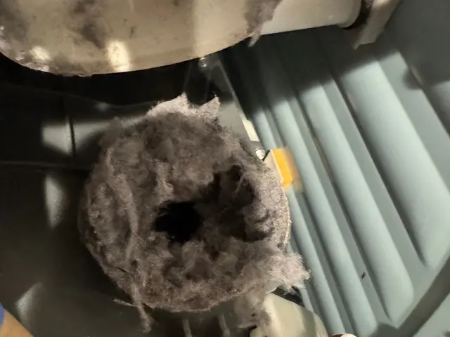 【10名様限定！25000円→23000円◎残り4名◎】3日4日空きありサービスの画像