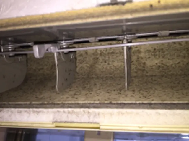 現地でクレカpaypay！エアコンクリーニング「ウサギとカメ」サービスの画像