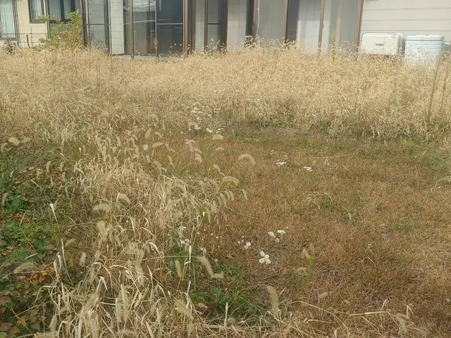 【大崎市発】土日祝限定営業！造園専門業者だから安心！草刈り作業サービスの画像