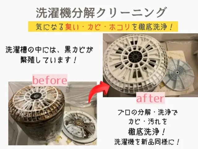 梅雨前に！！部屋干しのイヤーな匂いをリフレッシュ＼(^o^)／サービスの画像