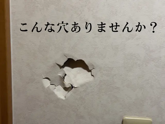 【力強く優しい"ゴリラ"におまかせ】豊富な実績で、あなたの壁を蘇らせますサービスの画像