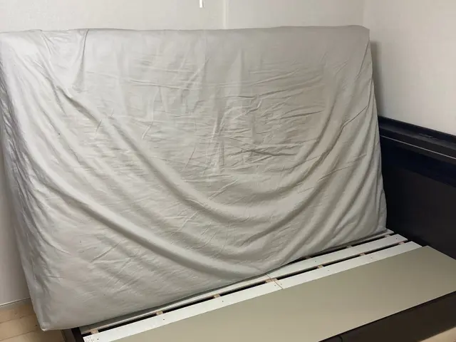 【くらしのマーケットアワード3年連続受賞！】★僕たち兄弟がお運び致します！★サービスの画像