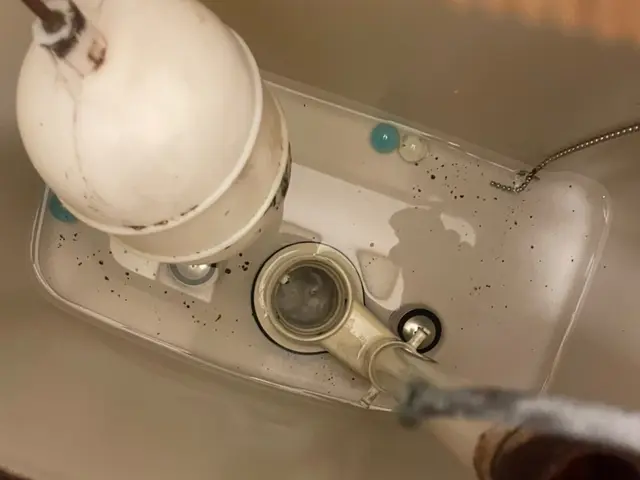 【業歴15年】仕上がりにご不満の場合は無料で追加対応いたします！損害保険加入済◎サービスの画像