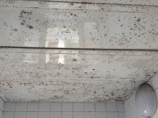 【福岡】2023顧客満足賞受賞! 他のメニューとのセット割引もあります！サービスの画像