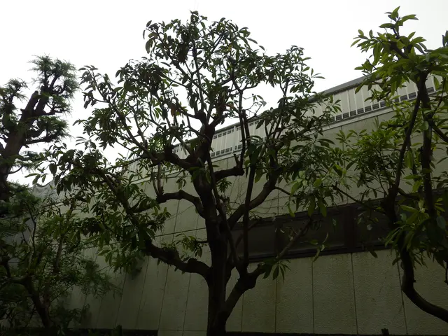 10月3日から受付！《業歴30年》【名園「椿山荘」庭園管理経験者】土日祝相談◎サービスの画像