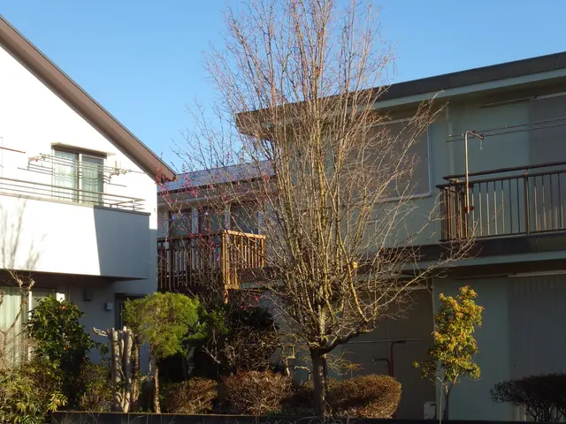 10月3日から受付！《業歴30年》【名園「椿山荘」庭園管理経験者】土日祝相談◎サービスの画像