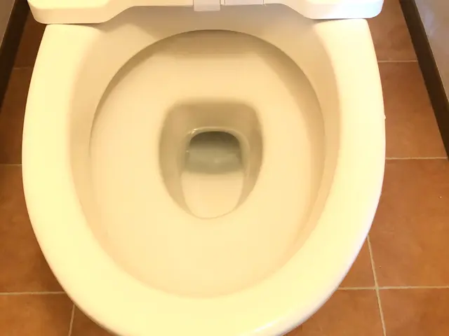 【カード可能】　☆汚れたトイレ磨き直します！しっかり除菌洗浄致します☆サービスの画像