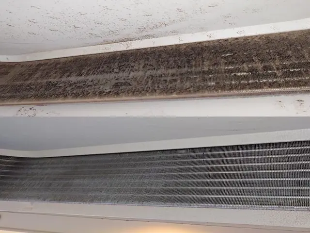 天井埋込型エアコン徹底洗浄｜ニオイ・カビ対策◎法人・店舗の施工実績多数！サービスの画像