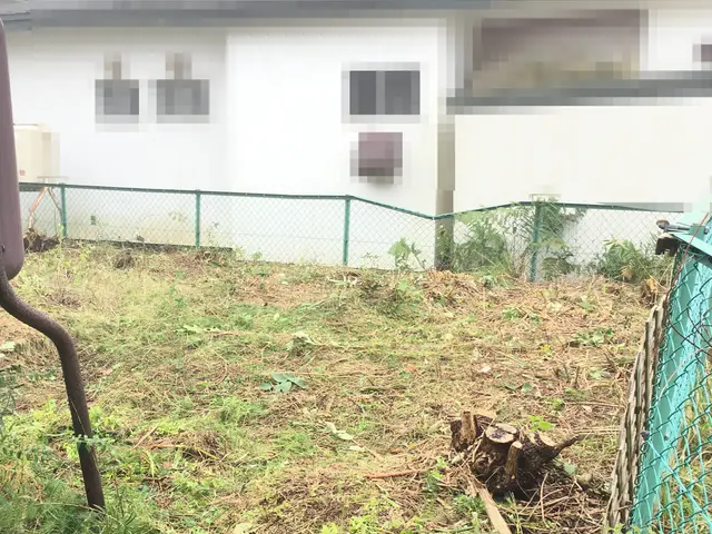 庭木の剪定　伐採 も対応可能/要相談サービスの画像