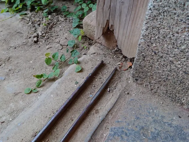 ドア・扉・窓の建て付け修理サービスの画像