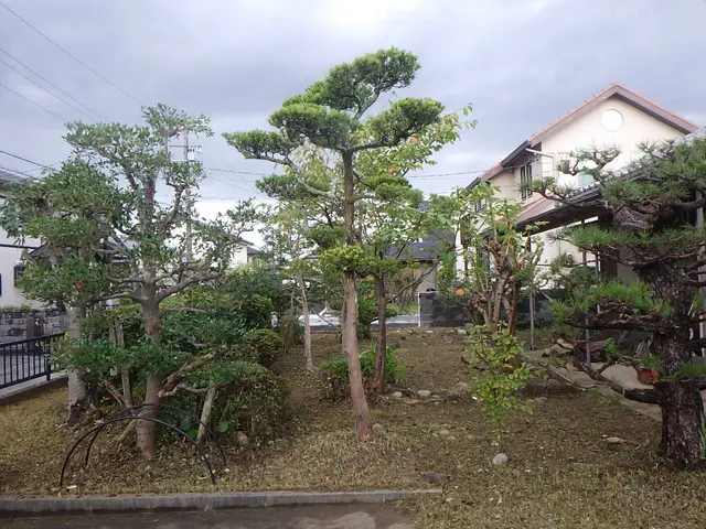 《高所作業車使用可能》損保加入済！広範囲の作業もお任せ！サービスの画像