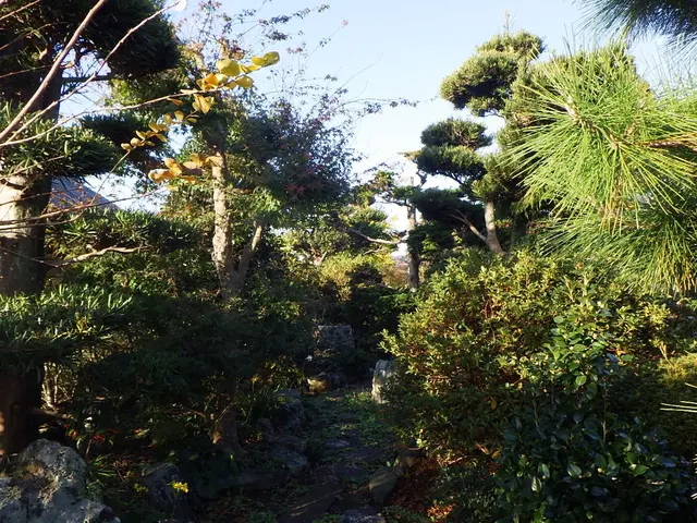 《高所作業車使用可能》損保加入済！広範囲の作業もお任せ！サービスの画像