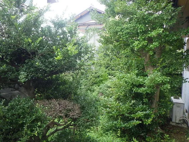 《高所作業車使用可能》損保加入済！広範囲の作業もお任せ！サービスの画像