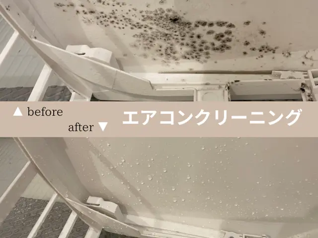 【浜松の出店者で最安】1万円以上のお会計で抗菌コート無料！【追加料金一切なし】サービスの画像