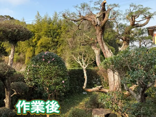 お客様の笑顔を見る為に！庭木の剪定おまかせください！お客様のニーズにお応えしますサービスの画像