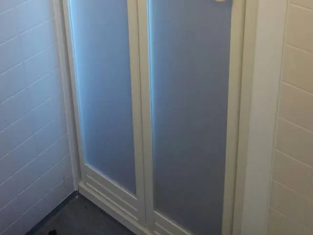 浴室ドア交換　古い浴室ドアを中折浴室ドアへ　￥60,000〜【施工半日】サービスの画像