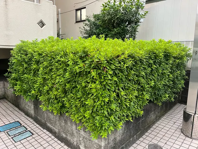 ご希望をお聞かせ下さい♪心を込めて丁寧に作業します！長年の経験で安心安全★サービスの画像