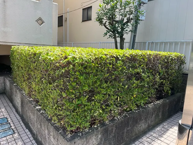 ご希望をお聞かせ下さい♪心を込めて丁寧に作業します！長年の経験で安心安全★サービスの画像