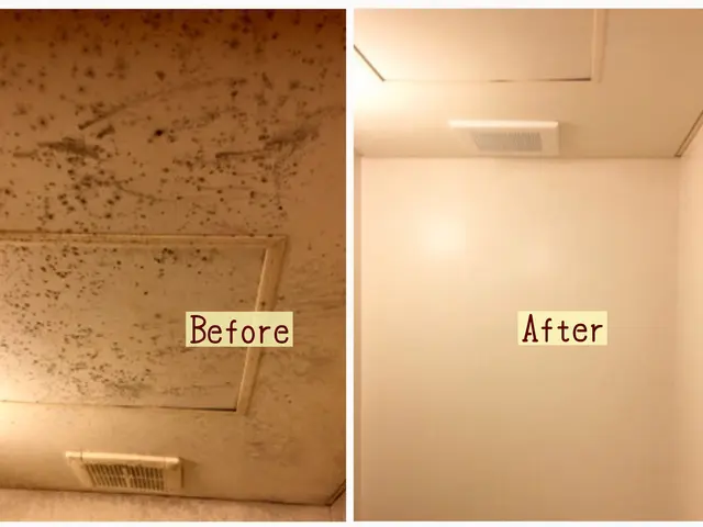 PayPay可◎地元企業様から依頼多数！空室 退去清掃◎カーコーティングサービスの画像