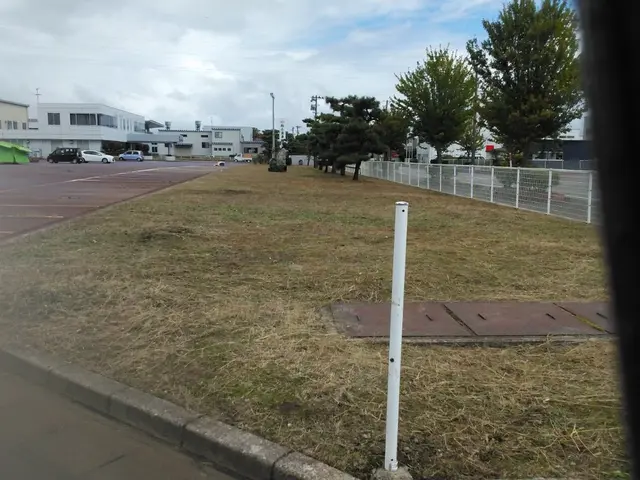 草刈り及びゴミの回収、除草剤散布サービスの画像