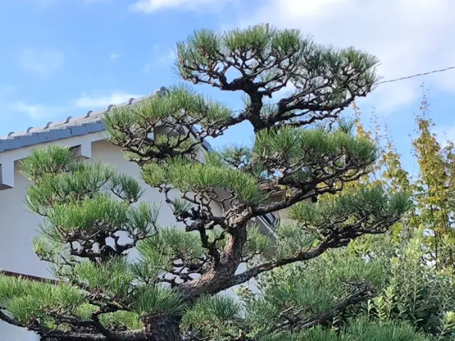 《訪問時の駐車場代はお店負担》サービスの画像