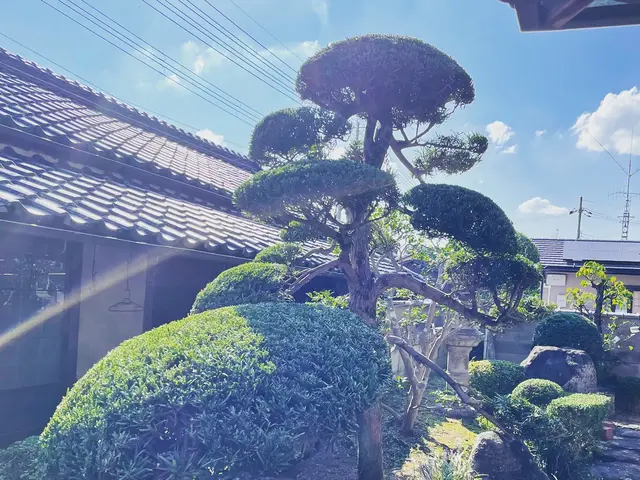 《訪問時の駐車場代はお店負担》サービスの画像