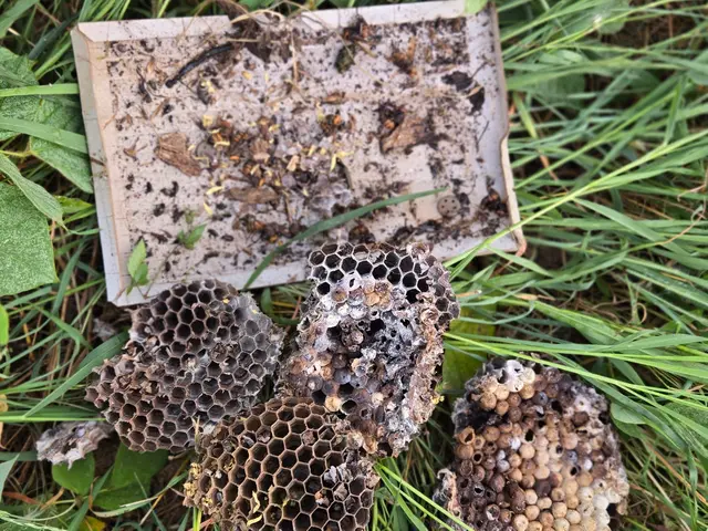 ご連絡当日でもOK！スケジュール次第で最速駆け付け。できる限り早く対応します。サービスの画像