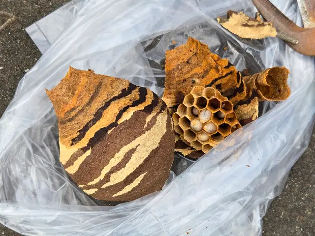 ご連絡当日でもOK！スケジュール次第で最速駆け付け。できる限り早く対応します。サービスの画像