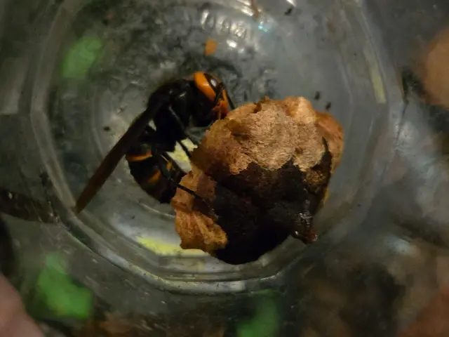 ご連絡当日でもOK！スケジュール次第で最速駆け付け。できる限り早く対応します。サービスの画像