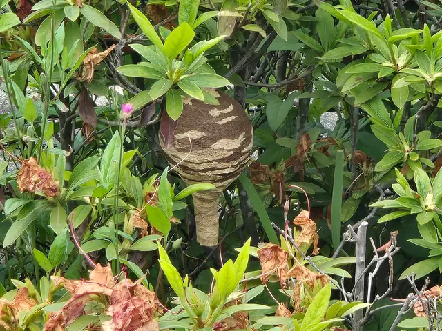 ご連絡当日でもOK！スケジュール次第で最速駆け付け。できる限り早く対応します。サービスの画像