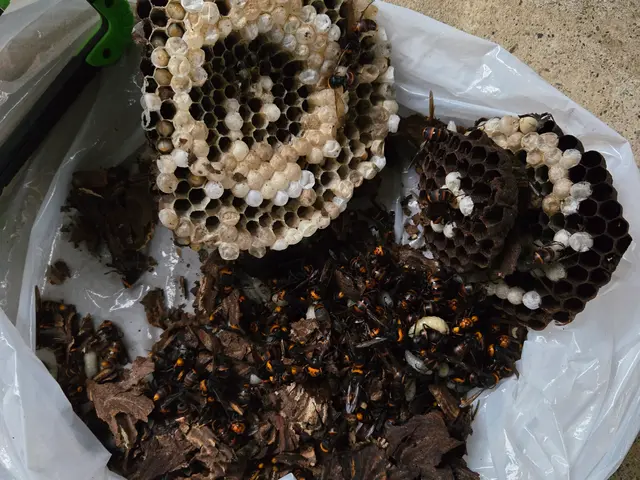 ご連絡当日でもOK！スケジュール次第で最速駆け付け。できる限り早く対応します。サービスの画像