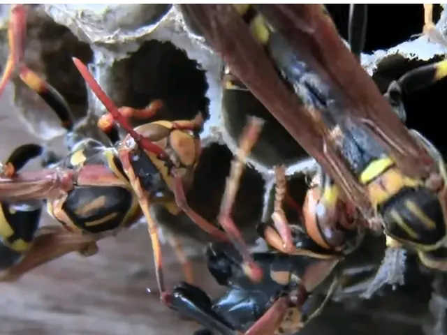 【岡山県中心に対応します】当店スタッフが迅速・丁寧に対応いたします！サービスの画像