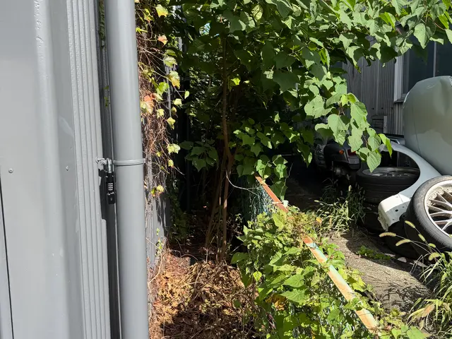 お庭リフレッシュ剪定サービスの画像