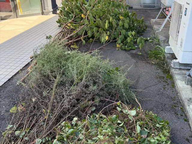 お庭リフレッシュ剪定サービスの画像