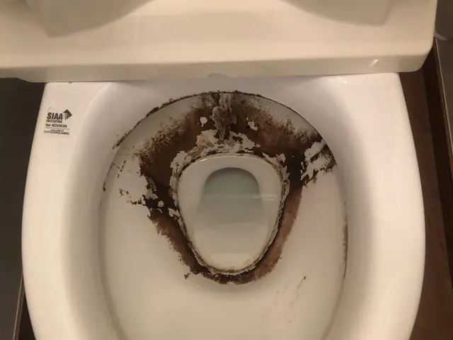 《関東中心》安心の損害保険加入済み♪大手での業務経験あり◎サービスの画像