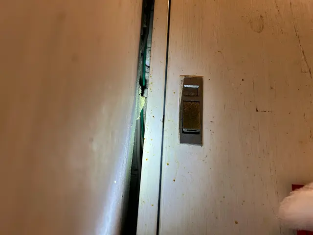 【地元密着型】毎月の予防でお安く効果のある予防しませんか？一度相談だけでも○！サービスの画像