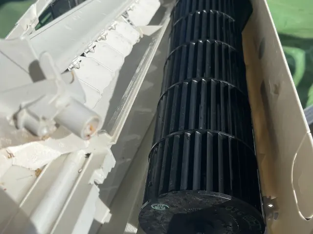 1.2.3限定！消臭防カビコーティング（通常3300円）をオマケしちゃいます！サービスの画像