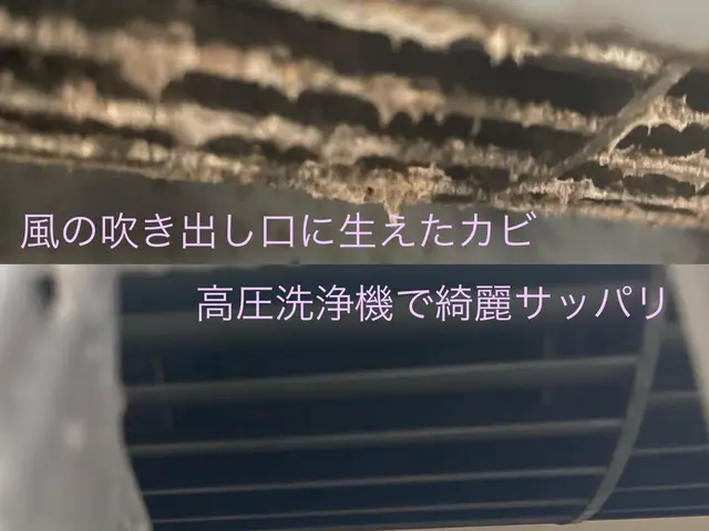 11.12月限定！消臭防カビコーティング（通常3300円）をオマケしちゃいます！サービスの画像
