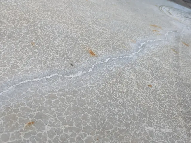 (コンクリート補修)基礎コンクリートのヒビ割れも【公共工事の工法】で解決します！サービスの画像