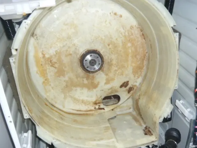 豊富な経験と高い技術力でドラム式洗濯機分解洗浄します。サービスの画像